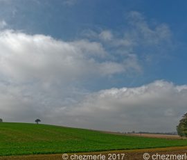 DSC_2269_DxO